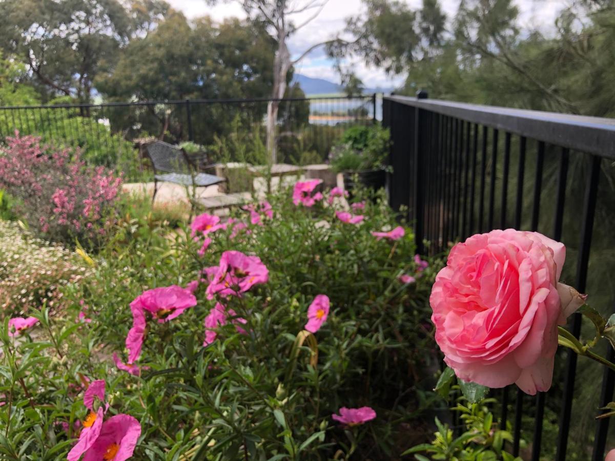 Troldhaugen Lodge - Adults Only Jindabyne Exteriör bild